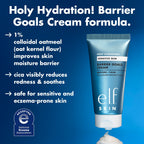 Holy Hydration! Barrier Goals Cream Regular