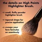 High Points Highlighter Brush