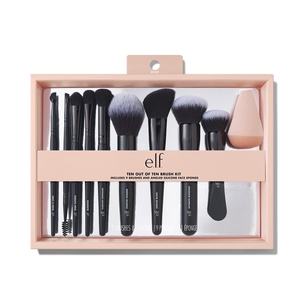 Ten Out of Ten Brush Kit