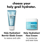 Holy Hydration! Barrier Goals Cream Regular