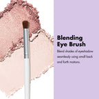 Professional Set of 12 Makeup Brushes