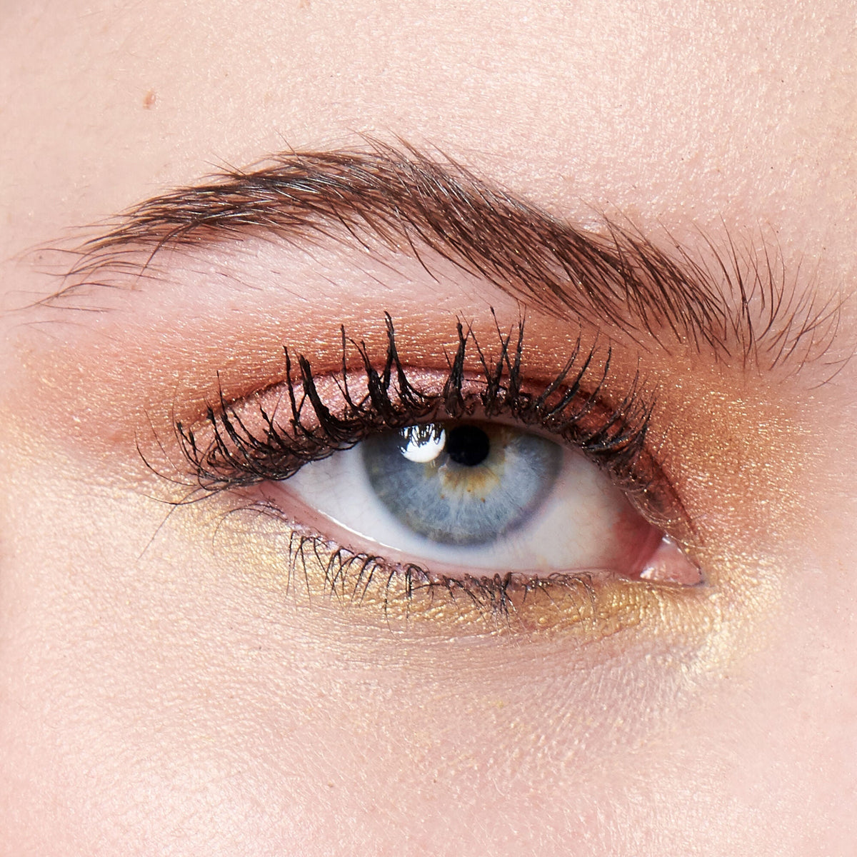 The New Classics Eyeshadow Palette