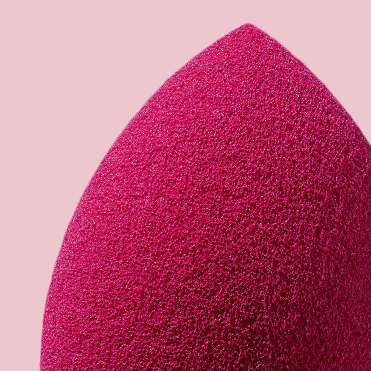 Total Face Sponge